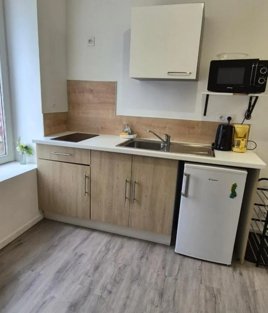 Appartement Cozy 30M2, Au Coeur De Fougères צרפת